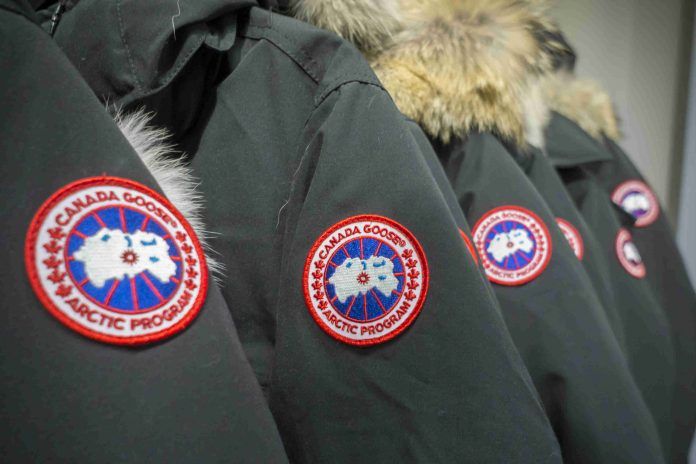 Canada Goose