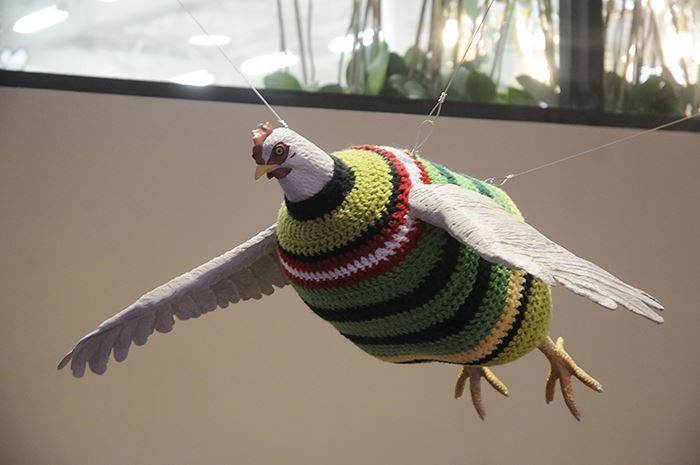 HEB_Flying_Chicken