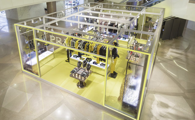 Prada Thunder 3