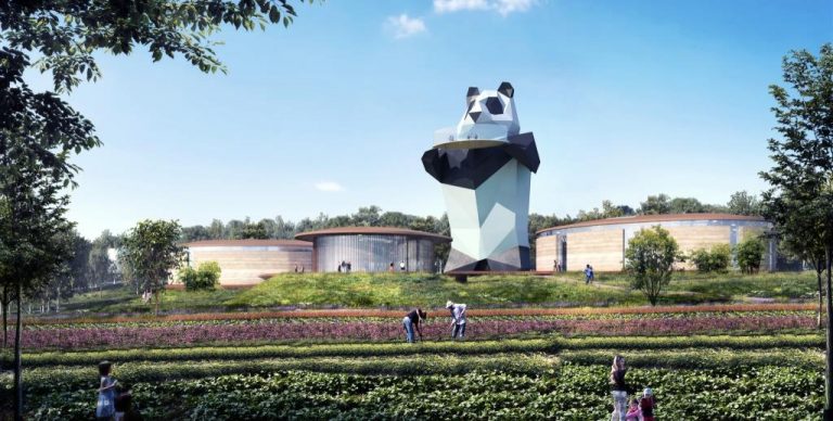 Land of Giant Pandas
