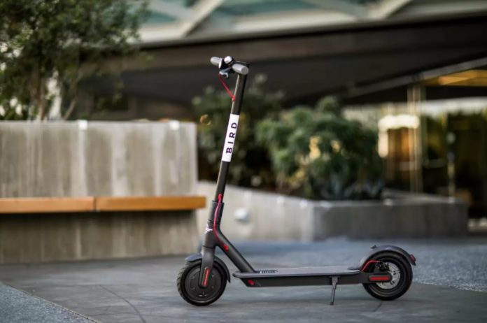 Bird Scooter Bird Scooter