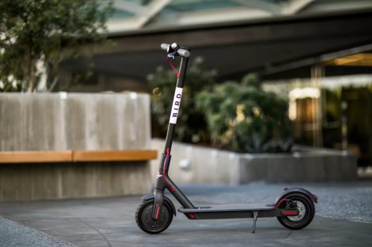 Bird Scooter