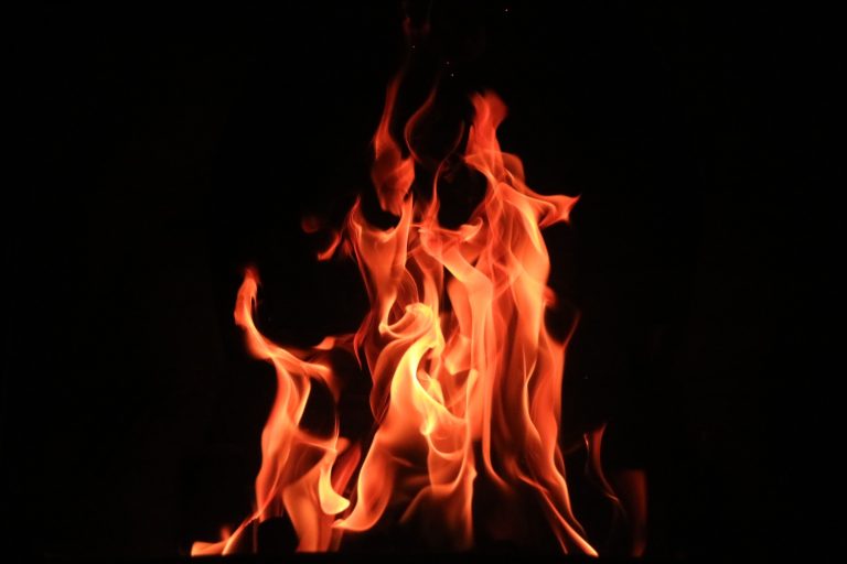 PVH donates to Australian Bushfire Relief