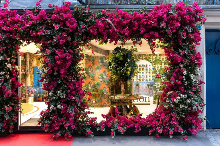 Cole & Son continue their partnership with London Creative Design Agency, FormRoom