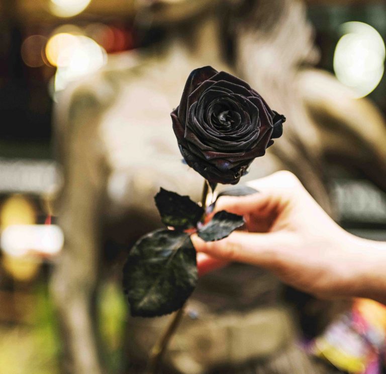Dark Romance Florist pops up in Camden Market for Valentine’s Day