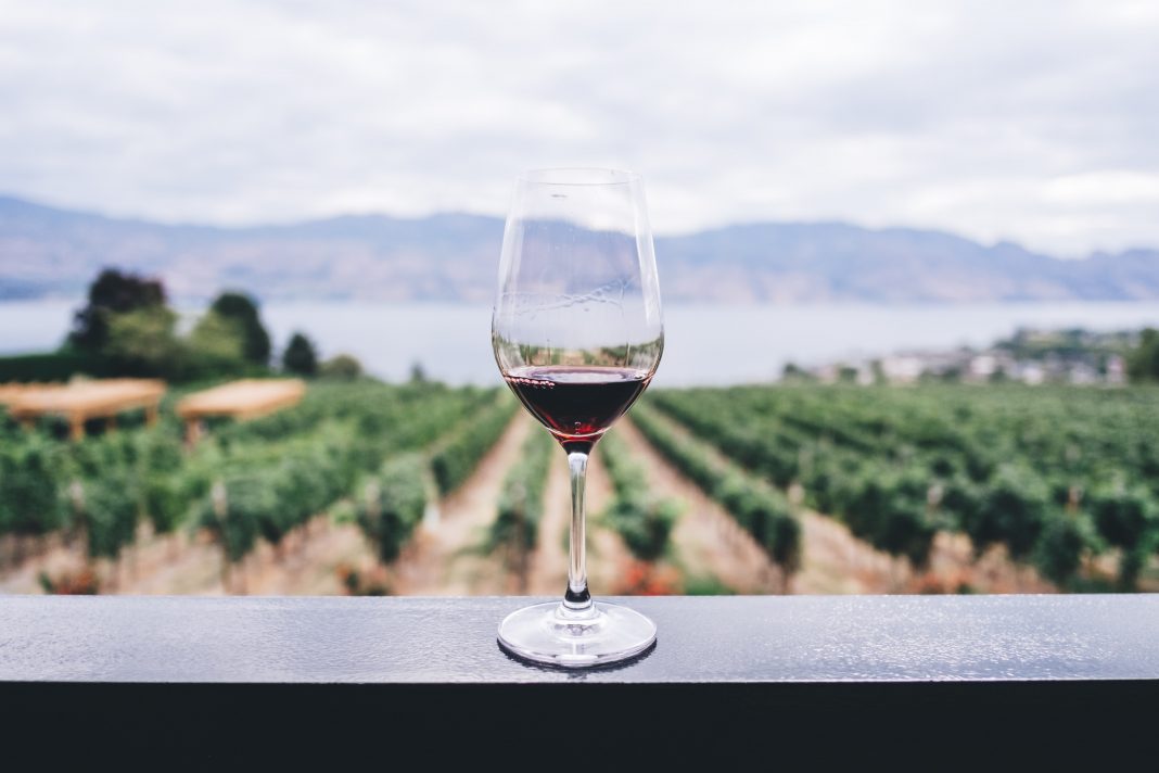 winePhoto by Kym Ellis on Unsplash