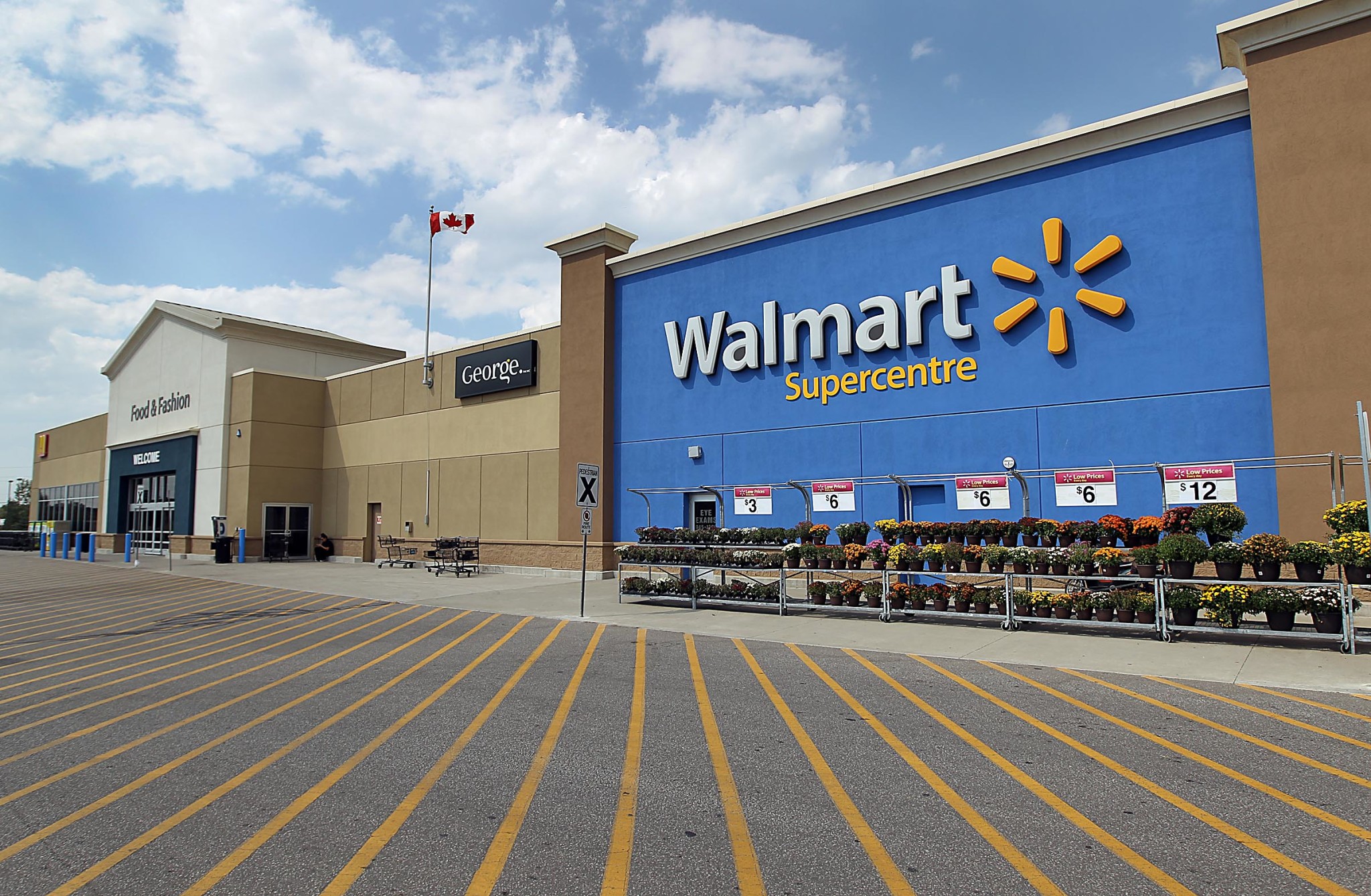 Rainbocorns Walmart Canada Outlet Sale Save 40 Jlcatj gob mx