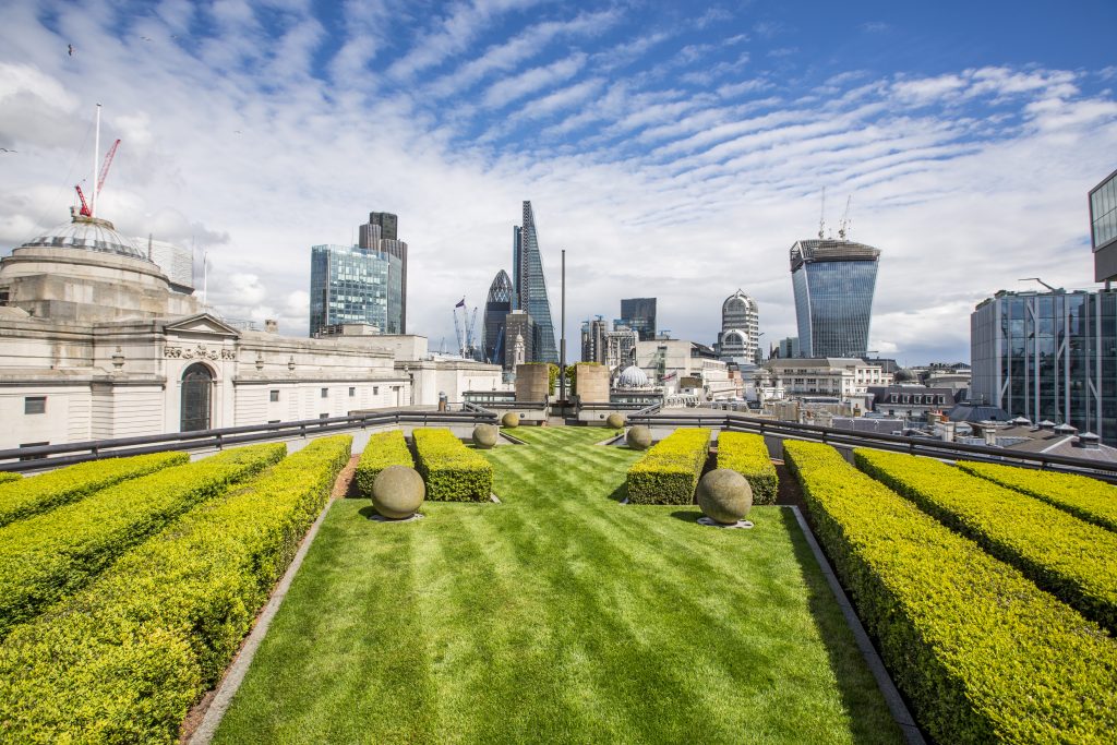 Garden Terrace Rooftop (Dec Jan 2021)