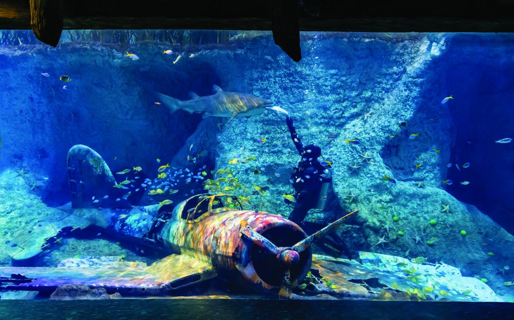The National Aquarium Al Qana, Abu Dhabi, UAE