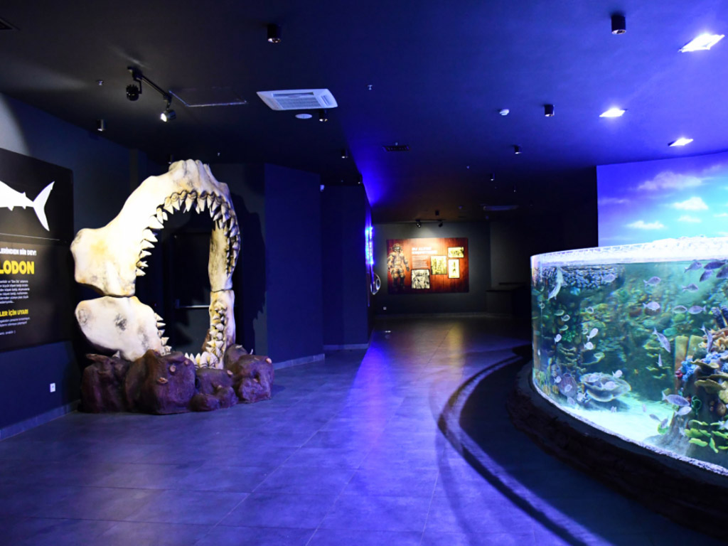 world-s-first-aquarium-inside-road-tunnel-opens-in-turkey-retail-leisure-international