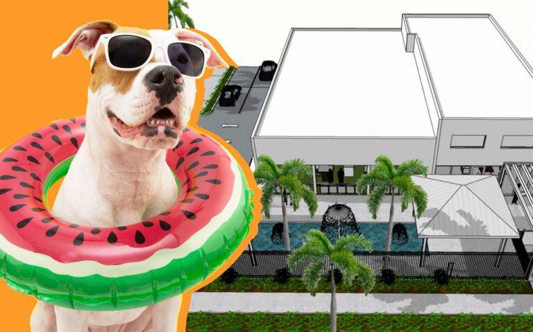 St.-Petersburg-Dog-Waterpark-and-Bar-Opening-in-March