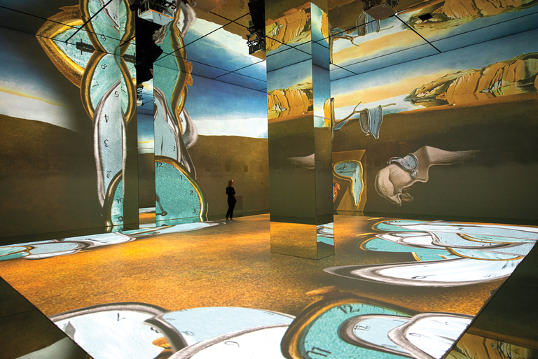 Immersive Attractions & Experiences