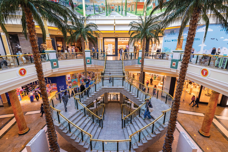 Retail insight – Growing a Greener Landscape in Retail
