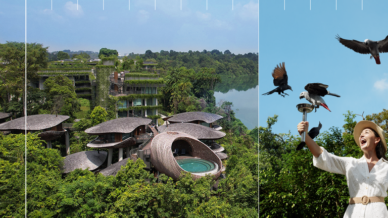 Banyan Tree to Mark Upcoming Milestone
