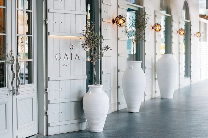 Gaia-Fundamental-Hospitality