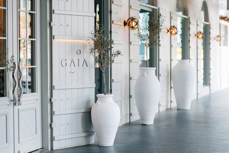 Gaia Reveals Plans for First Hotel