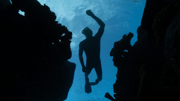 Red Sea Global introduces the Middle East’s first-of-its-kind adventure and entertainment hub, ADRENA