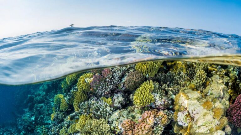 Saudi Continues to Diversify its Tourism Offering